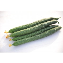 product-11