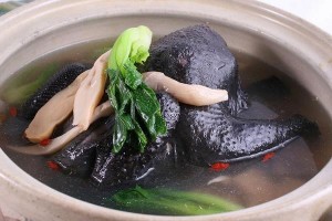 Morning Black Bone Chicken-wuji Fresh