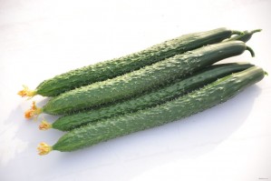 Cucumber Tianjin 1.8-2.2 Ibs