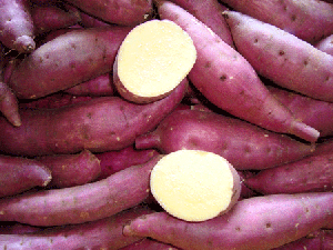 Japanese Sweet Patato 4 lbs