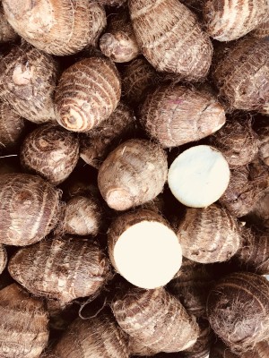 Taro-Yutou small 2 lbs