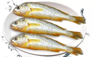 Wild Yellow Croaker 1lb