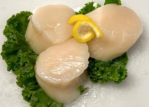 Wild caught Large Scallop 12oz 