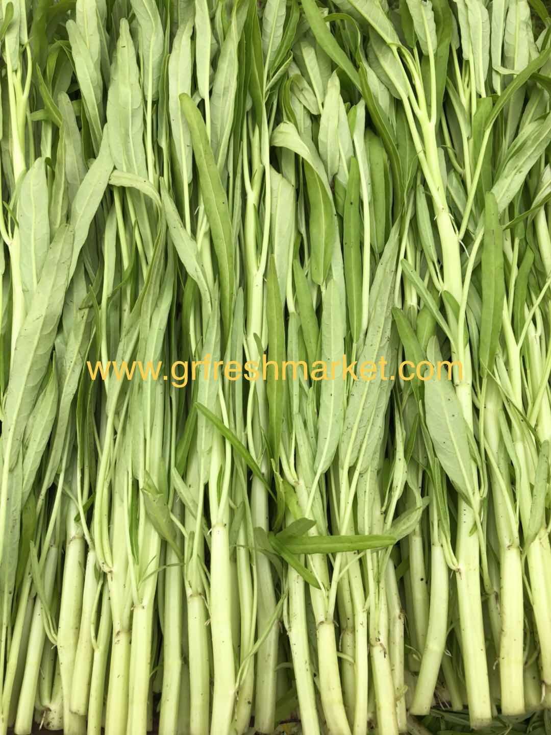 Water Spinach 1.5 lbs