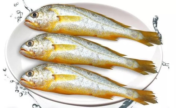 Wild Yellow Croaker 1lb