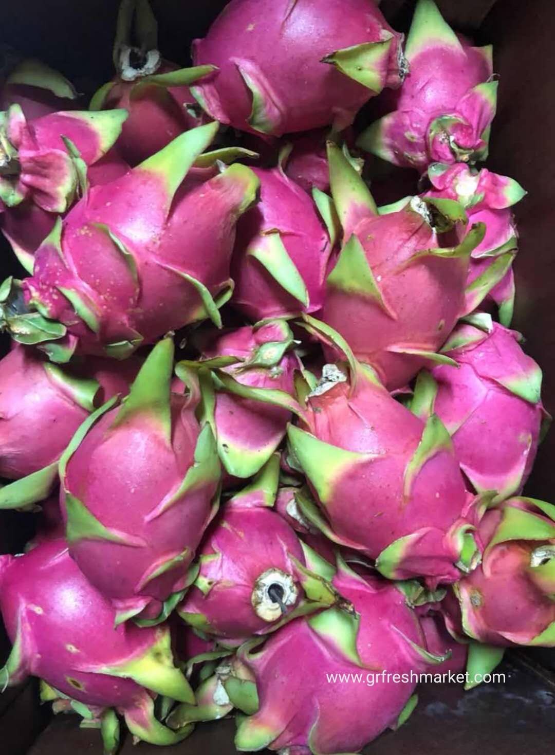 Dragon fruit-white 20 lbs