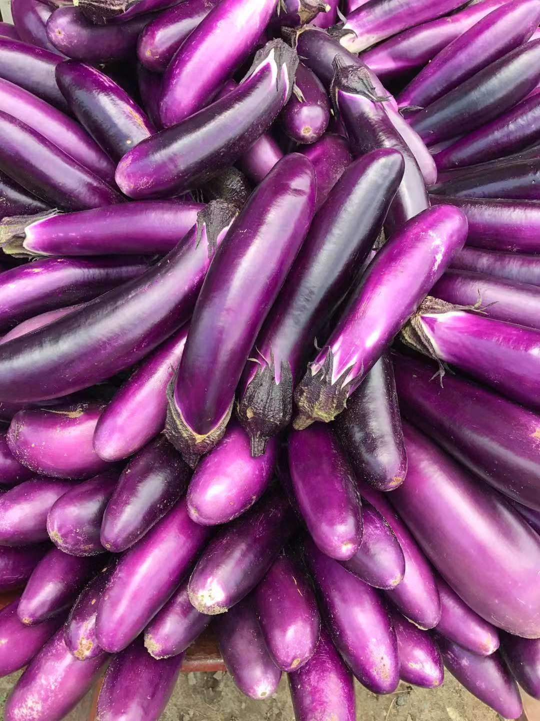 Eggplant 2 lbs