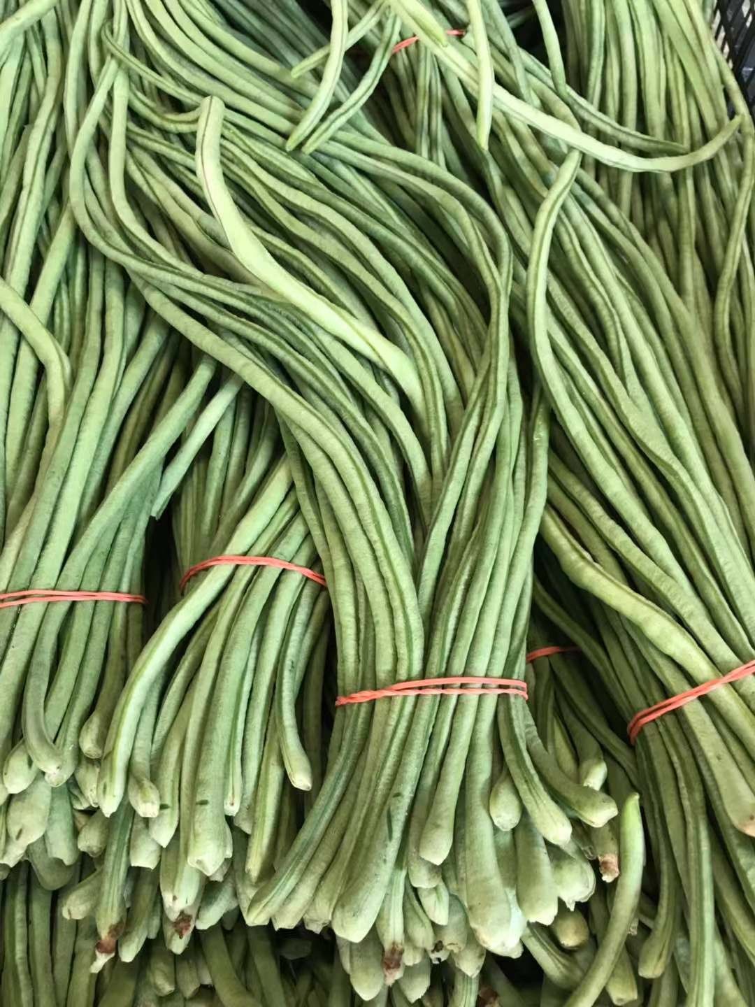 White Long Bean 2 lbs